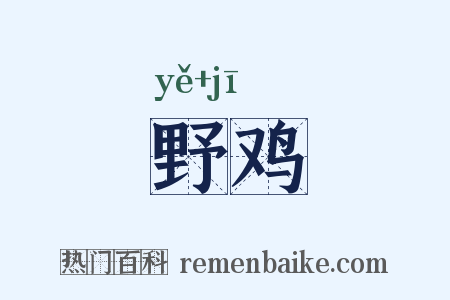 野鸡是什么意思的图片